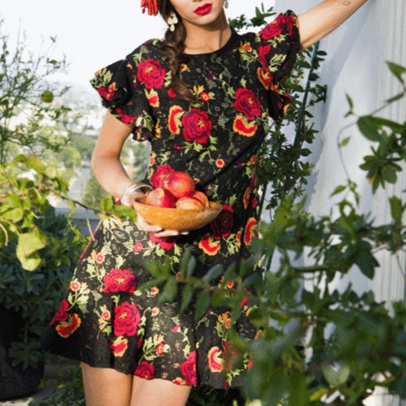 Anthropologie Dresses & Skirts - EVA FRANCO Lorraine Dress in Gypsy Rose Color